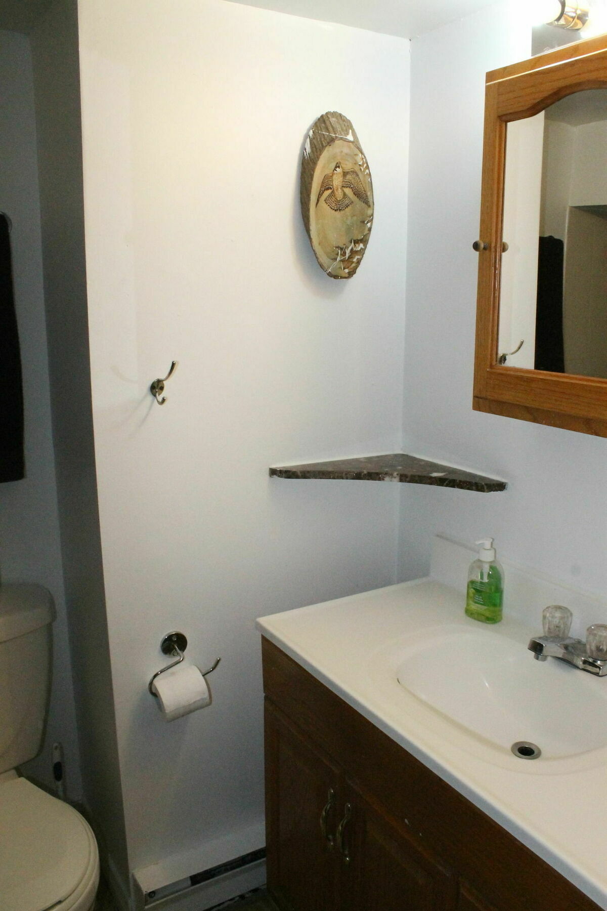 Adib - 2077 Walkley Rd Apartment